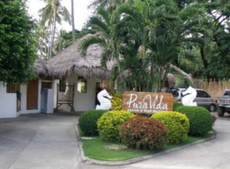 Pura Vida Beach & Dive Resort Dauin Exterior foto